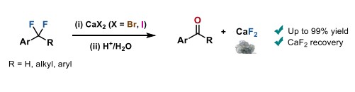 screenshot 2026 03 13