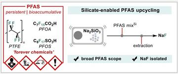 pfas silicate
